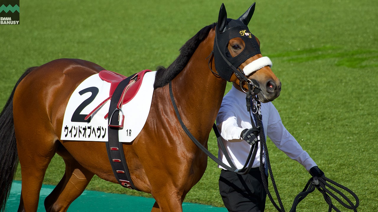 ウインドオブヘヴン