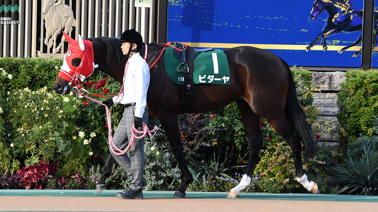 会報2025-46号 サムネイル