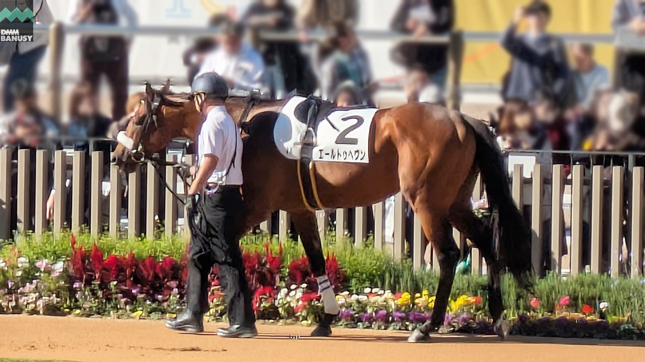 エールトゥヘヴン