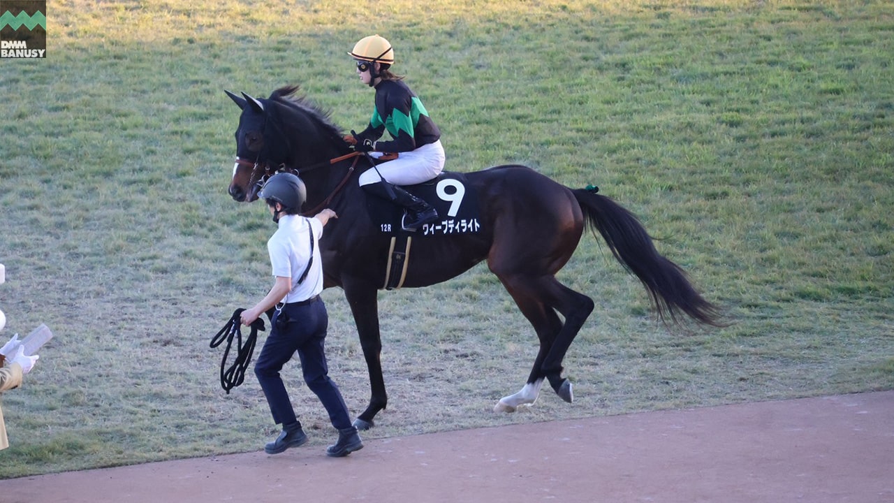 ウィープディライト