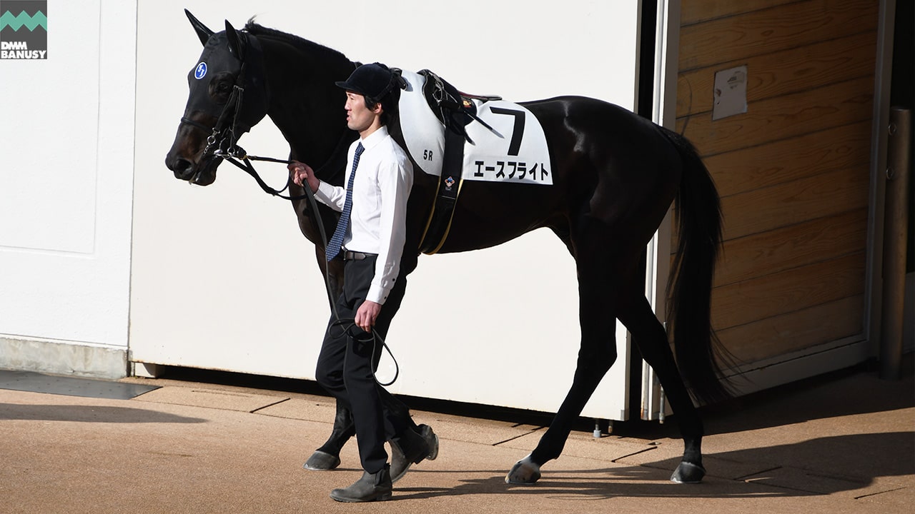 エースフライト