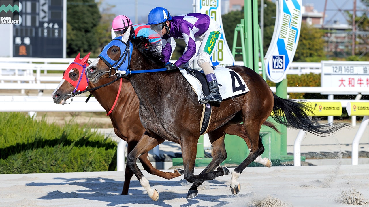 リリーオブザハート