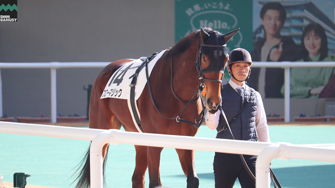 会報2026-01号 サムネイル