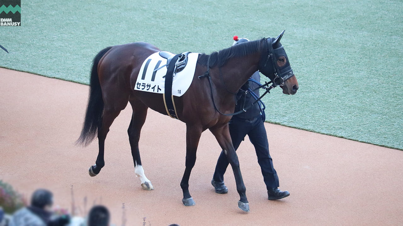 会報2026-02号 サムネイル