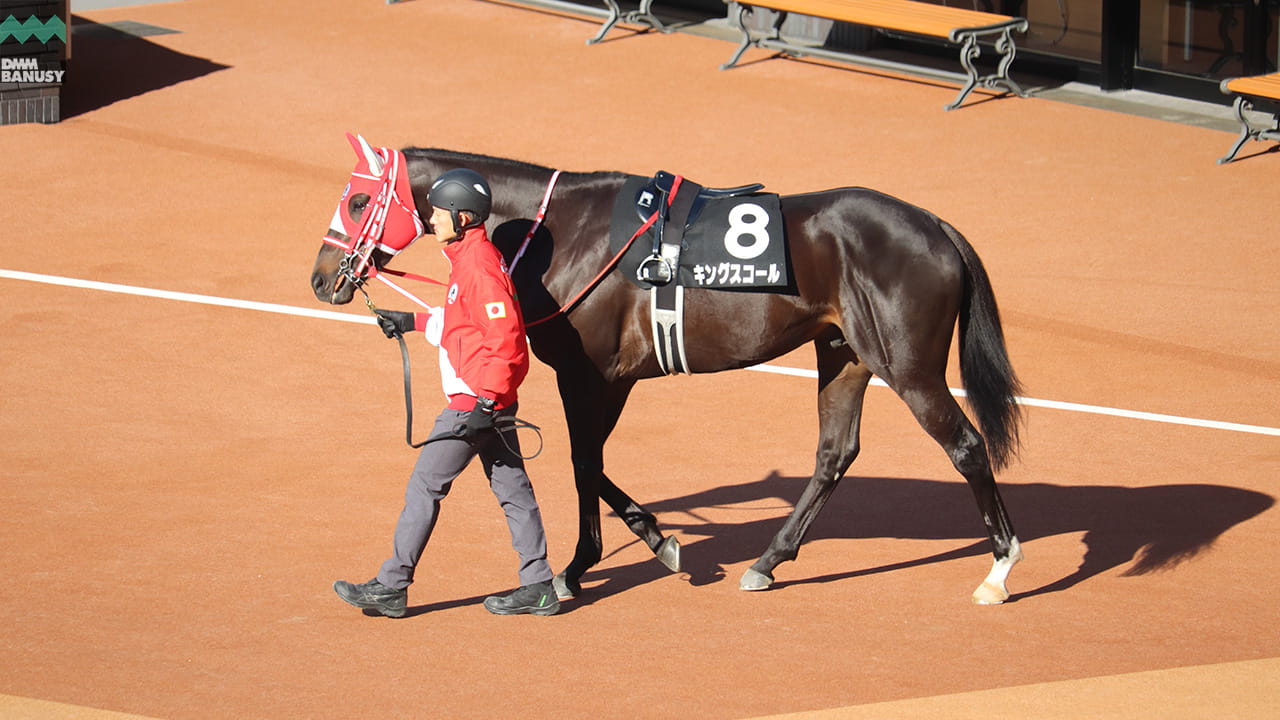 キングスコール