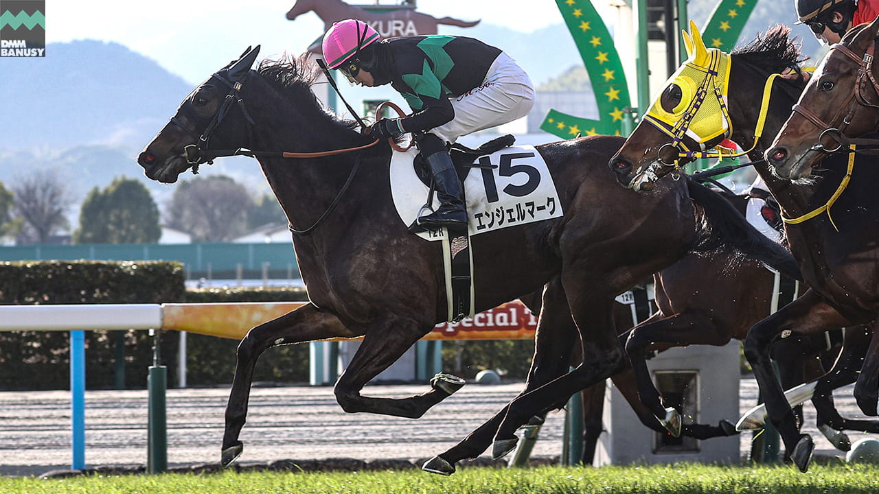 会報2026-04号・特別号 サムネイル