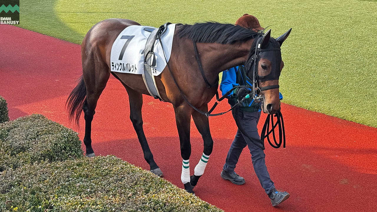 会報2026-05号 サムネイル