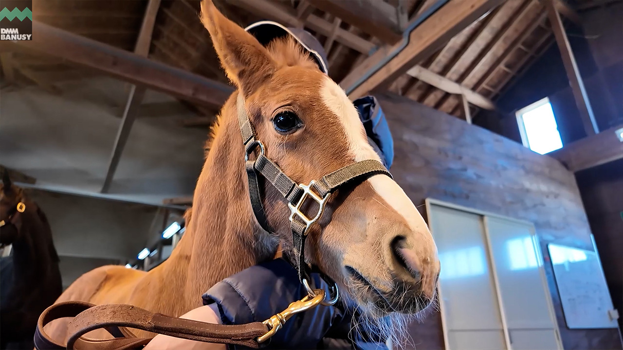 会報2026-07号 サムネイル