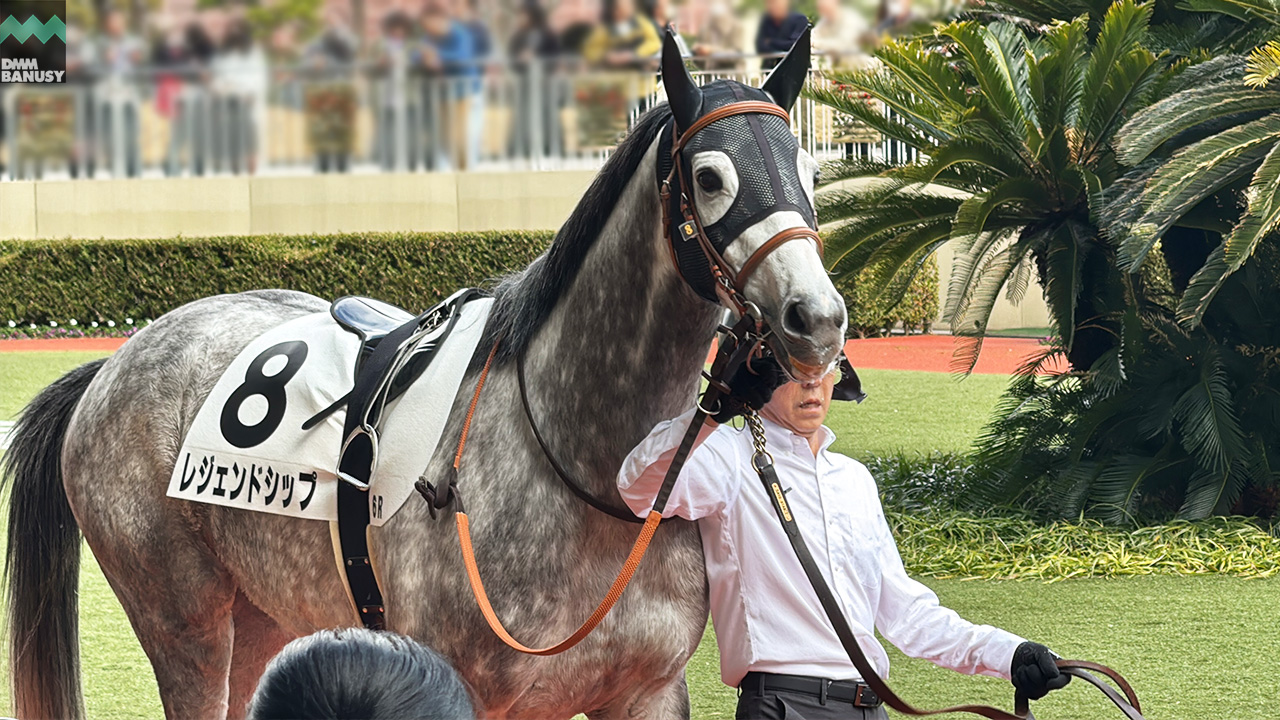 レジェンドシップ