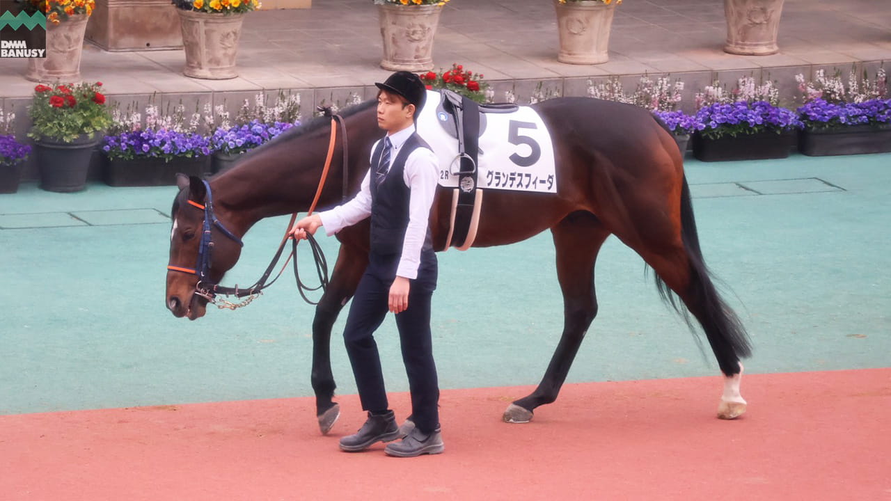 会報2026-12号 サムネイル