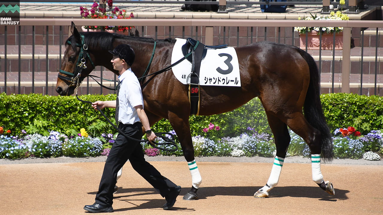 シャンドゥレール