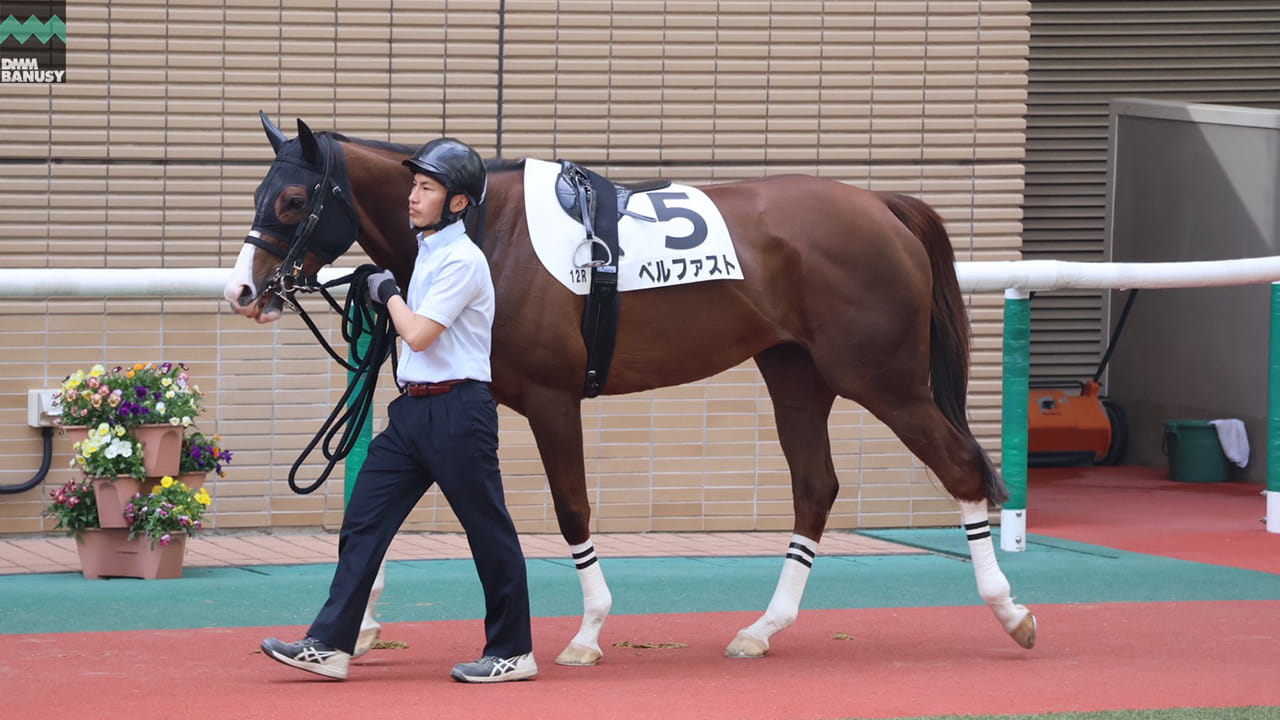 会報2026-14号 サムネイル
