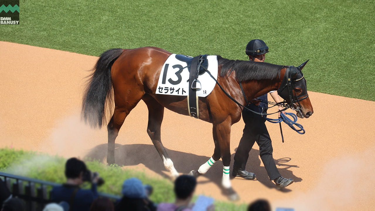 会報2026-20号 サムネイル