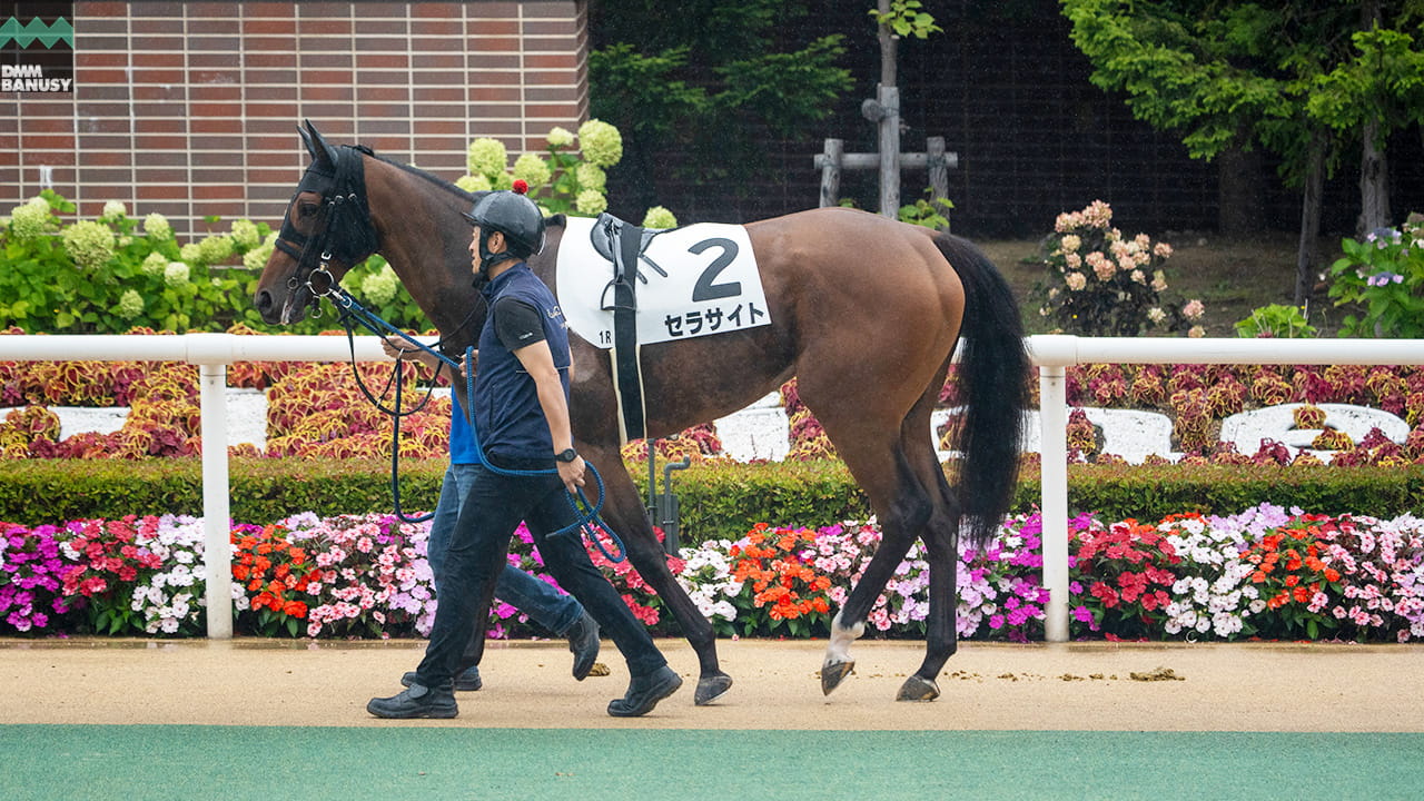 会報2026-28号 サムネイル