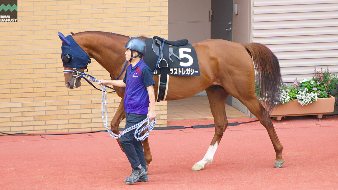 ラストレガシー
