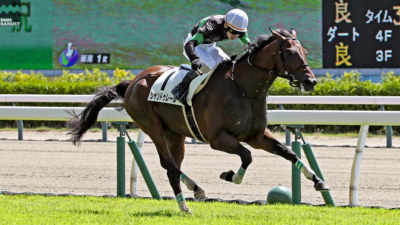 2024-08-19の所属馬ニュースのサムネイル