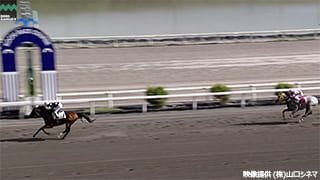 2024-09-20の所属馬ニュースのサムネイル