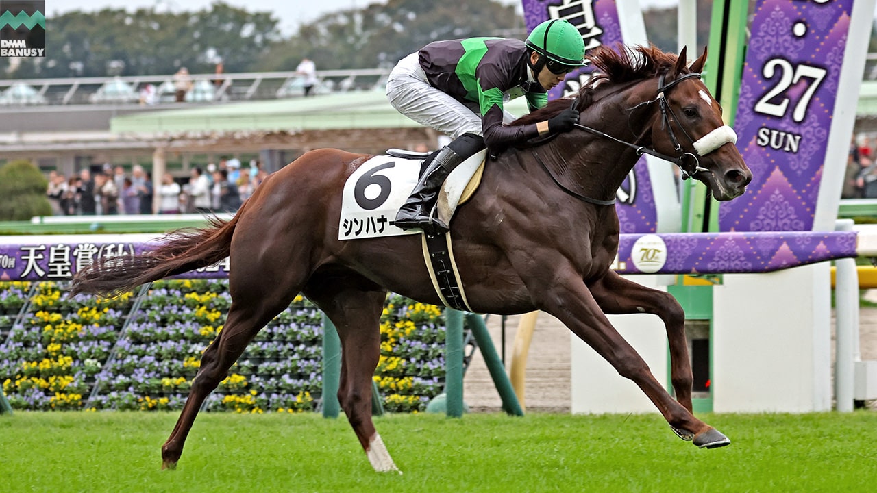 シンハナーダ 東京8R・3歳以上1勝クラス 1着