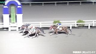 2024-11-18の所属馬ニュースのサムネイル