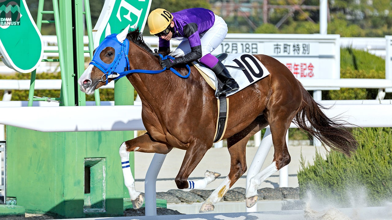 ベルファスト 園田8R・C1 3歳以上 1着