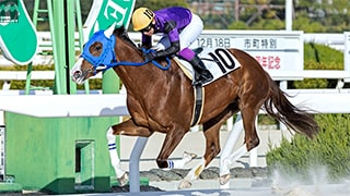 2024-12-20の所属馬ニュースのサムネイル