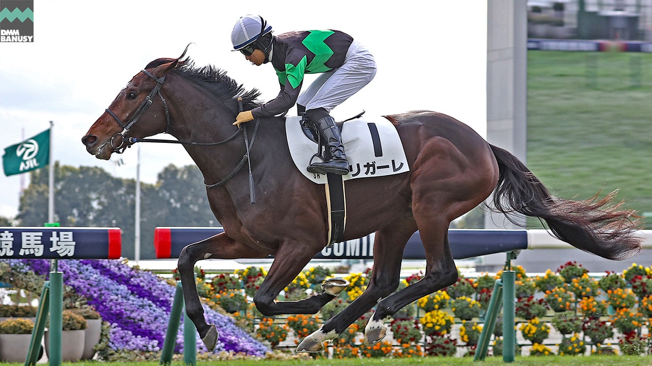 リガーレ 京都3R・2歳未勝利 1着