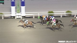 2025-03-12の所属馬ニュースのサムネイル