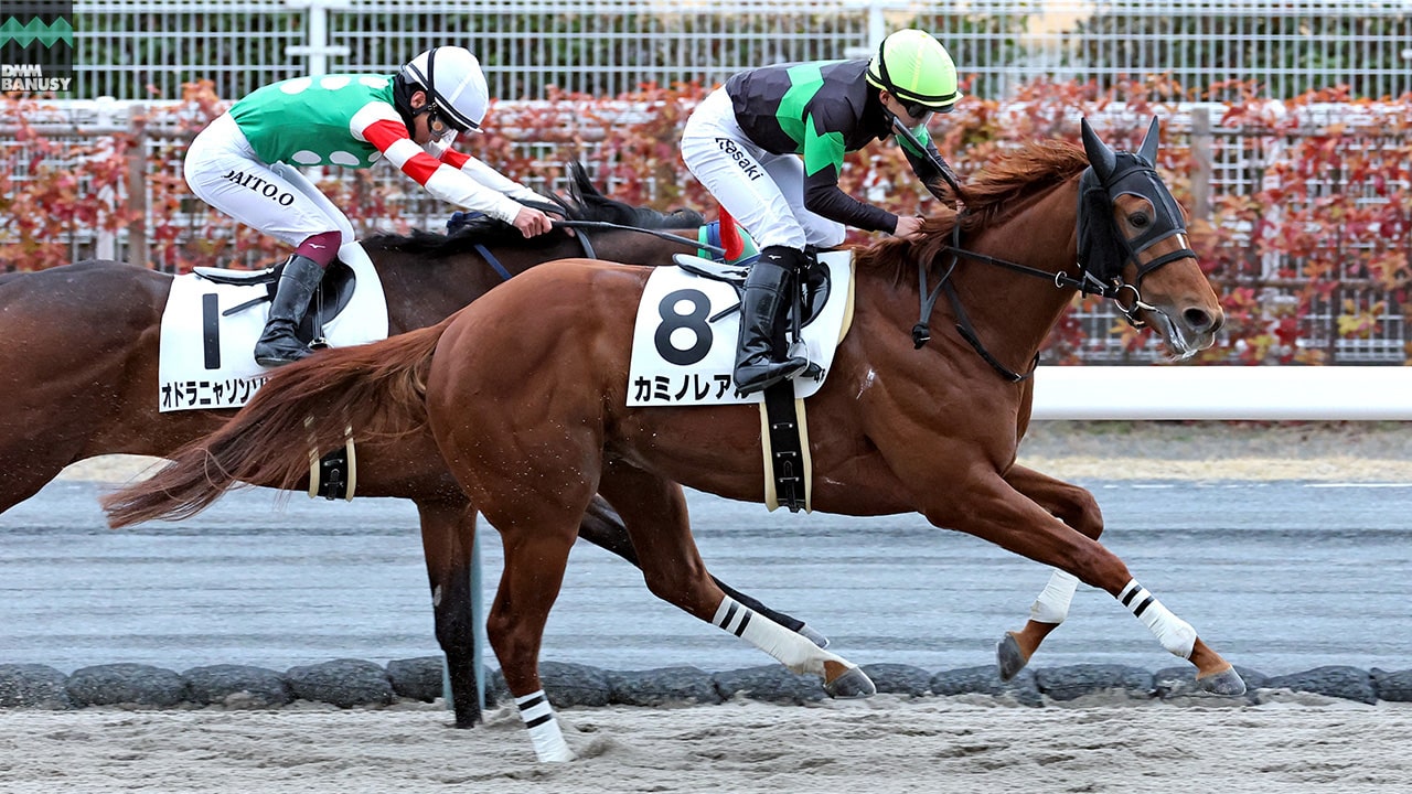 カミノレアル 中京4R・3歳未勝利 1着