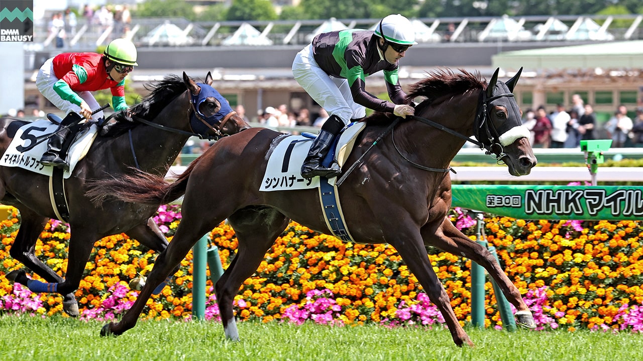 シンハナーダ 東京7R・4歳以上2勝クラス 1着