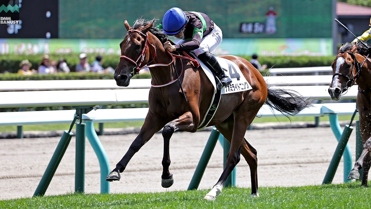 ナオミライトニング 札幌5R・2歳新馬 1着