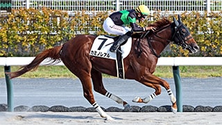 2025-08-19の所属馬ニュースのサムネイル