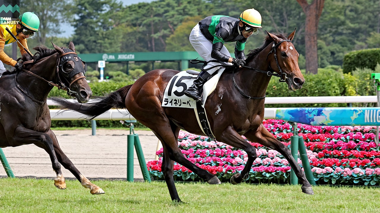 ライネリーベ 新潟7R・3歳未勝利 1着