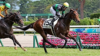 2025-09-01の所属馬ニュースのサムネイル