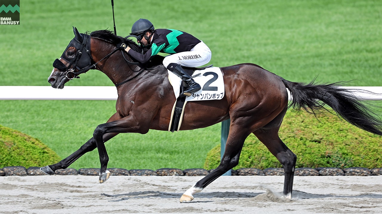 シャンパンポップ 阪神8R・3歳以上1勝クラス 1着