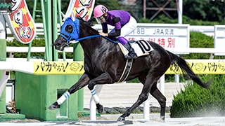 2025-10-09の所属馬ニュースのサムネイル