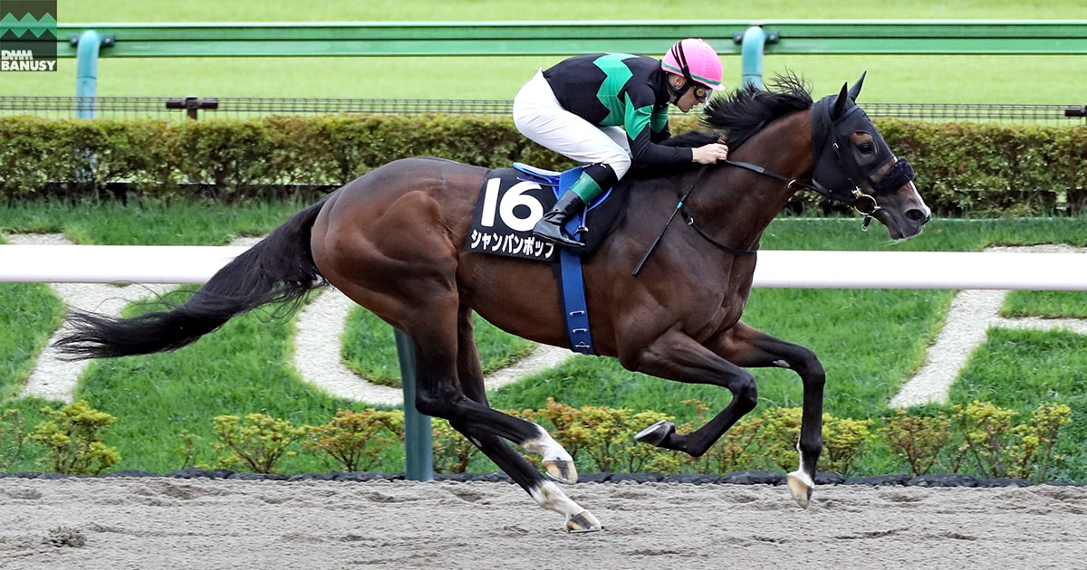 シャンパンポップ 東村山特別 | DMMバヌーシー