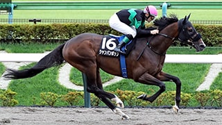 2025-10-14の所属馬ニュースのサムネイル