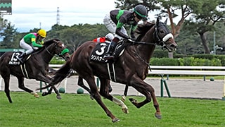 シンハナーダ 画像