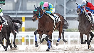 ブルーリュバン 画像