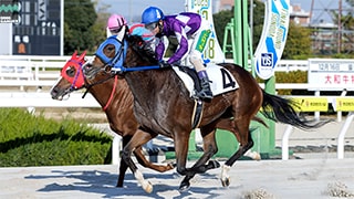 リリーオブザハート 画像