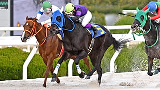 2026-01-05の所属馬ニュースのサムネイル