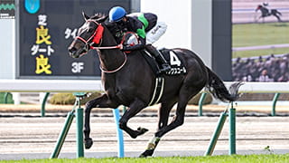 2026-01-26の所属馬ニュースのサムネイル