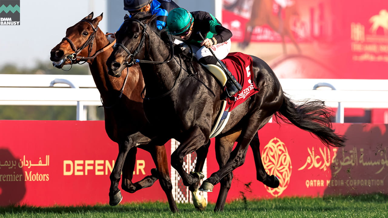 2026/2/14 アルライヤン3R・アミールトロフィー(GII) 1着