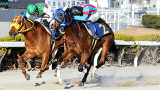 2026-02-20の所属馬ニュースのサムネイル