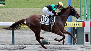 2026-05-07の所属馬ニュースのサムネイル