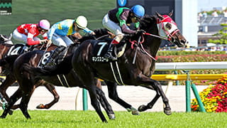 2026-05-18の所属馬ニュースのサムネイル