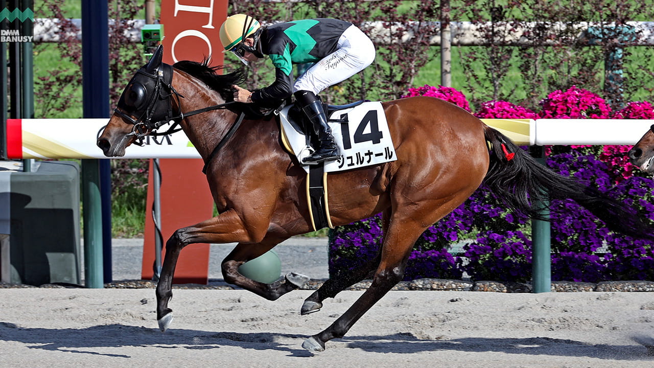 ジュルナール 京都12R・4歳以上1勝クラス(ダート1400m) 1着