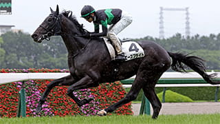 2026-06-08の所属馬ニュースのサムネイル