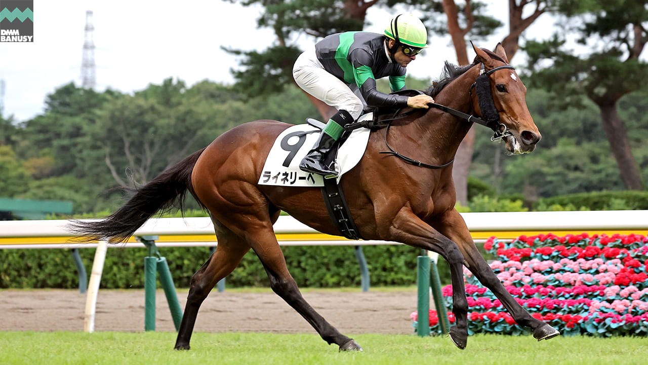 ライネリーベ 新潟10R・3歳以上1勝クラス(芝1400m) 1着