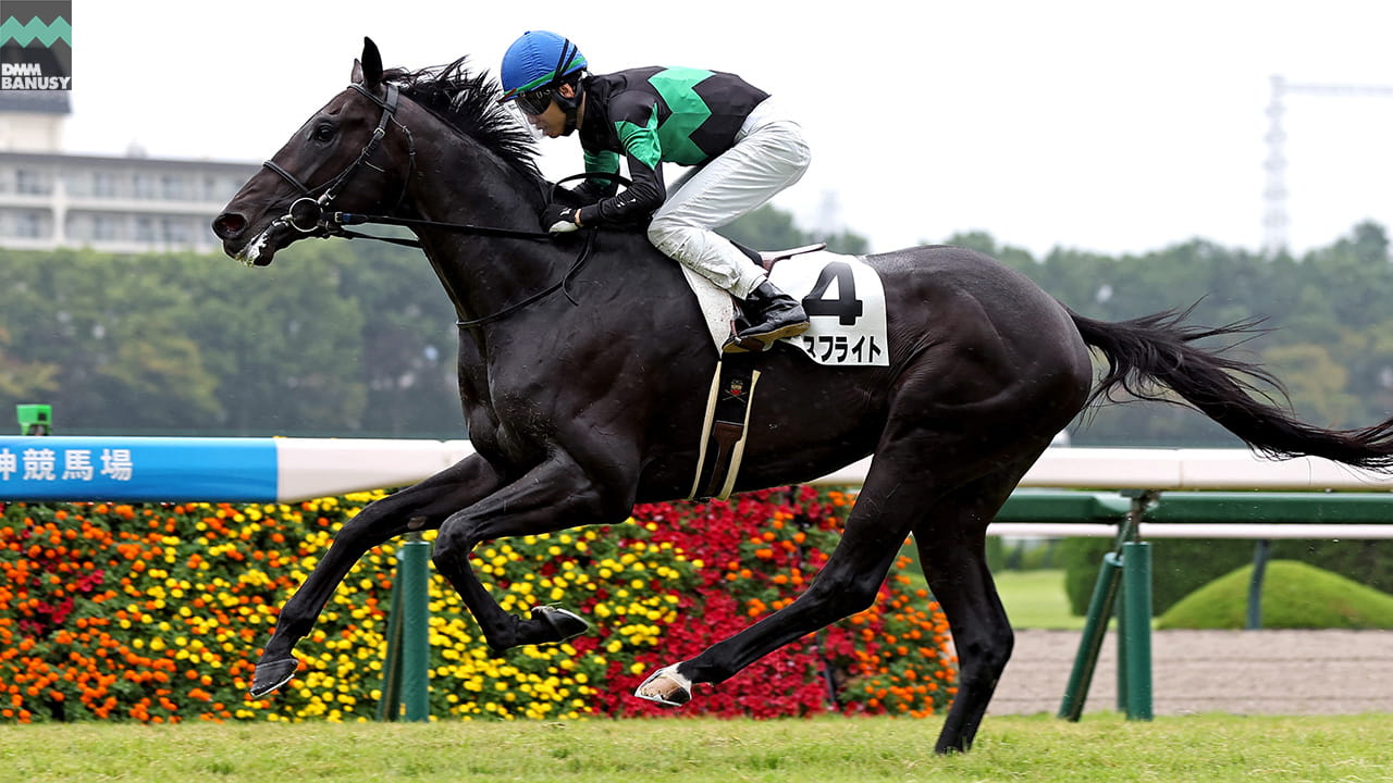 エースフライト 阪神8R・3歳以上1勝クラス(芝2200m) 1着